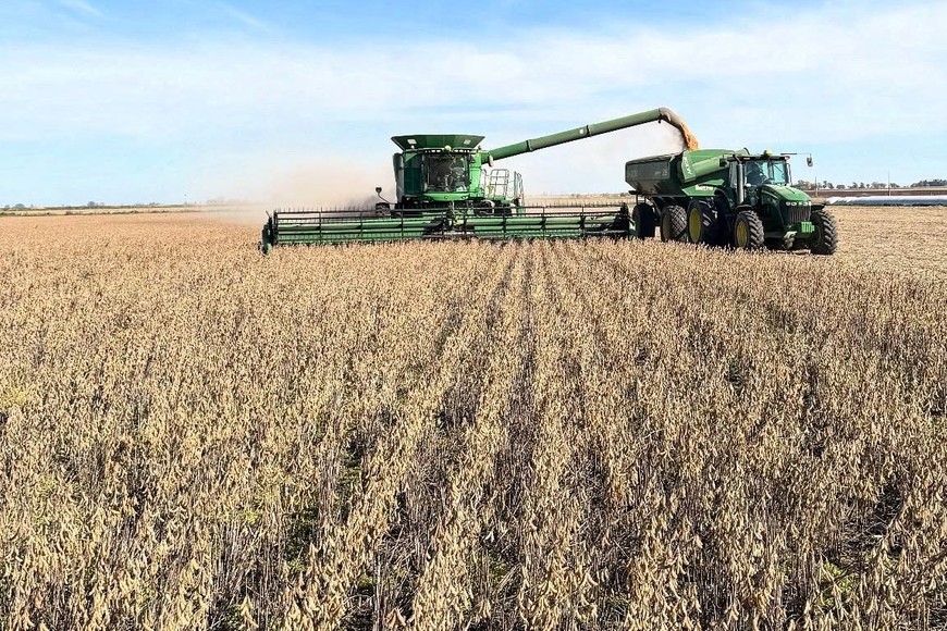 El gobierno central repuso las retenciones al poroto de soja del 26,0% a 33,0%.