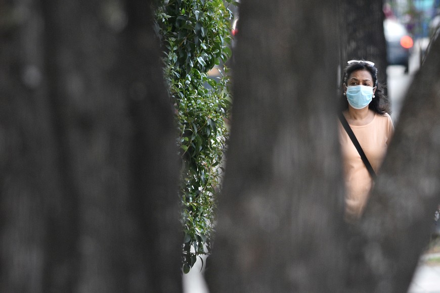 "La pandemia fue un acontecimiento catastrófico que precipitó y aceleró el desequilibrio de un sistema que ya estaba desequilibrado", opina Alicia Stolkiner y asimila a ese momento un proceso de concentración de riqueza en pocas manos que se siguió profundizando. Crédito: Pablo Aguirre.