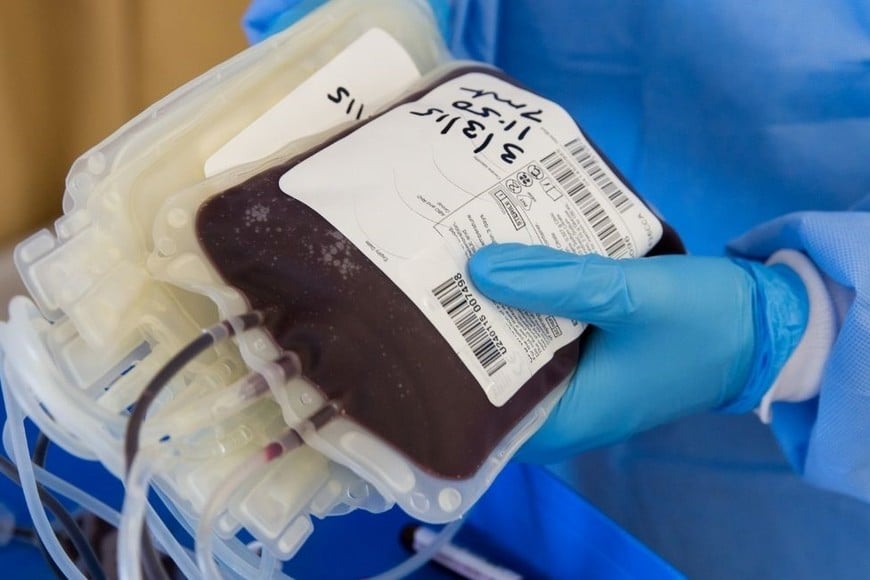 La cifra alcanzada podría constituir un récord histórico en la provincia