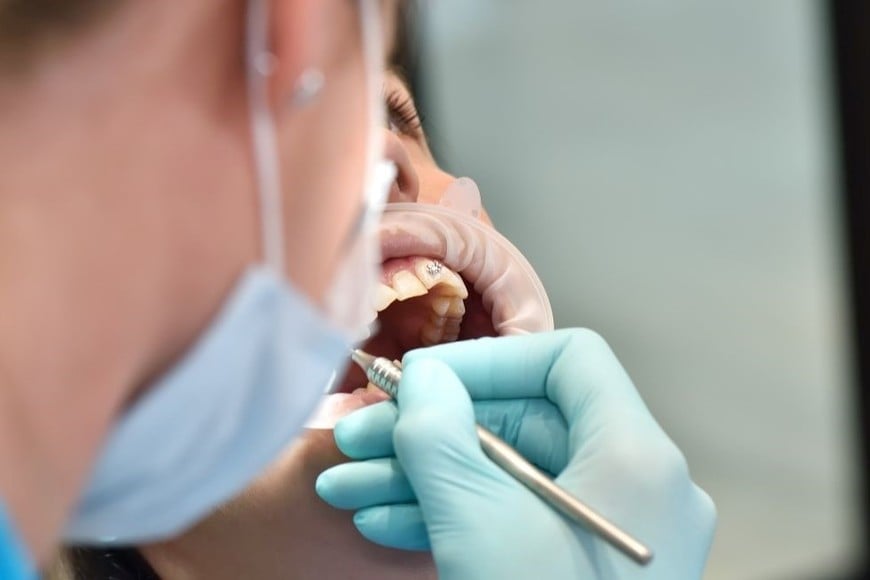 La actualización establece una reorganización de los contenidos de la carrera.