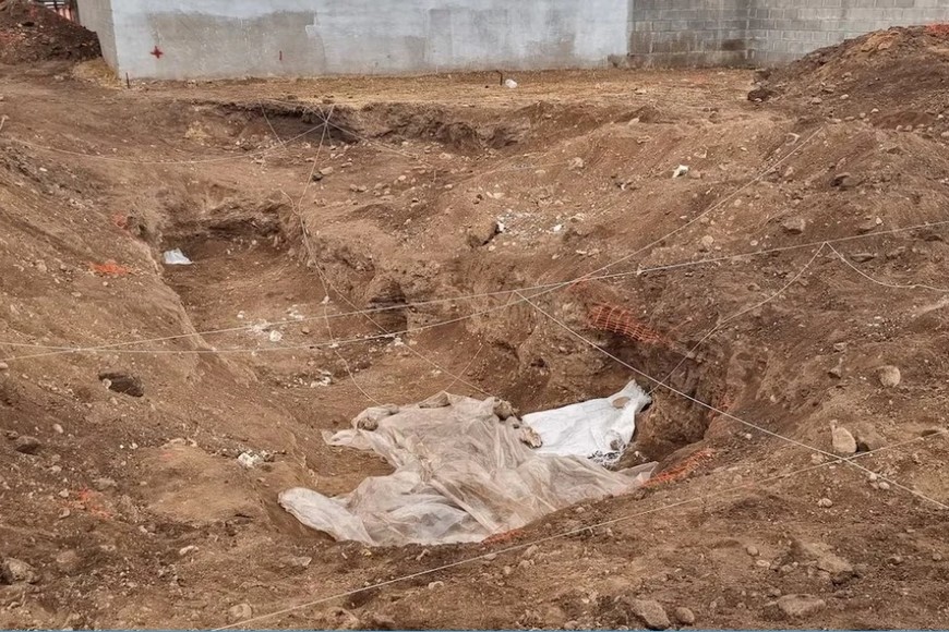 Córdoba: encontraron una fosa común con más de 20 cadáveres en Campo de la Ribera