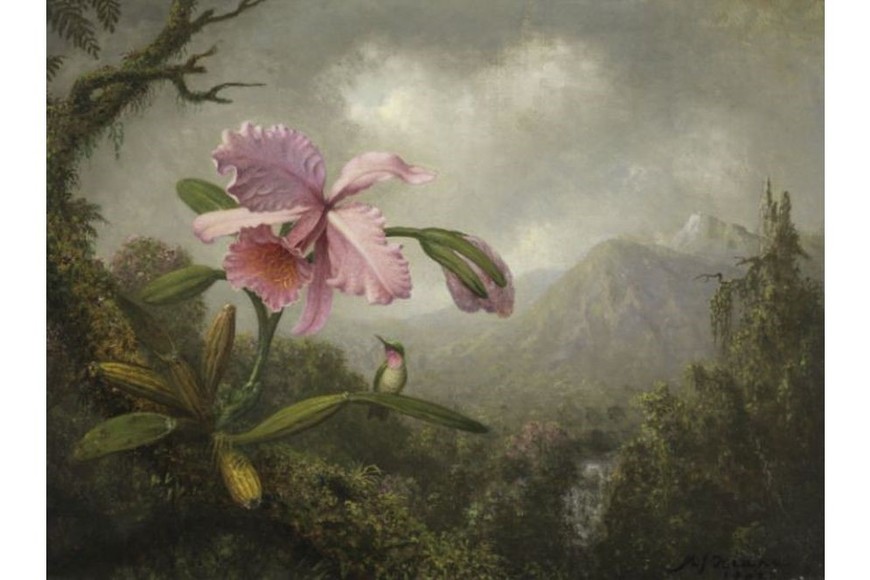 Orquídea y colibrí cerca de una cascada de Martin Johnson Heade. Foto: Museo Nacional Thyssen-Bornemisza