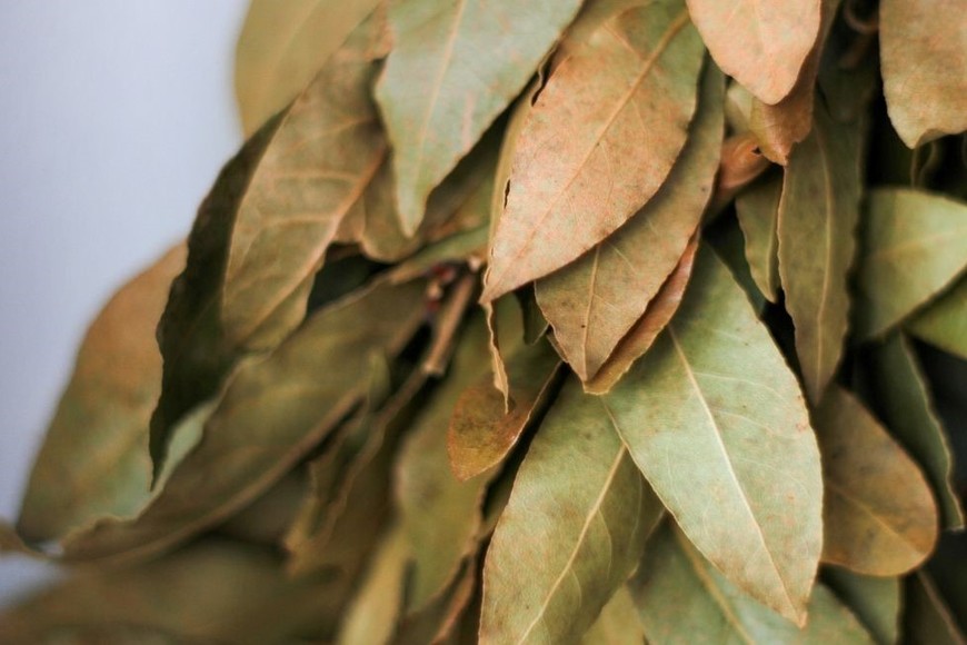 Propiedades antimicrobianas y limpieza ambiental