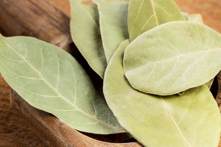 Vía respiratoria: alivio de congestión