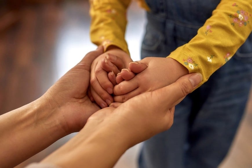 La crisis económica impacta en la cantidad de inscriptos interesados en iniciar procesos de adopción.