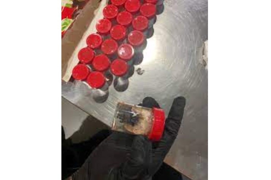 Su transporte sin autorización constituye un delito grave