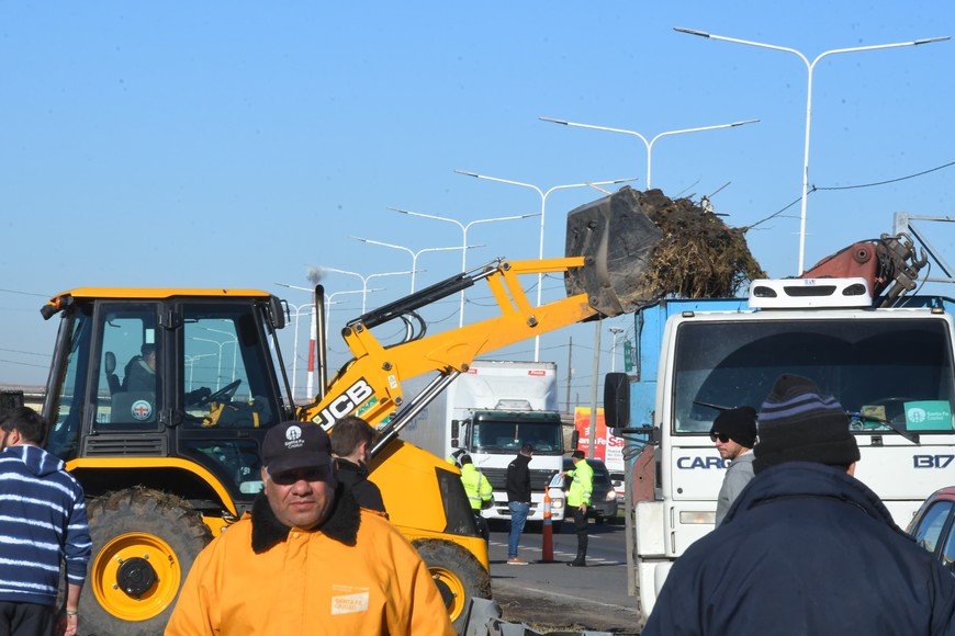 Guillermo Di Salvatore