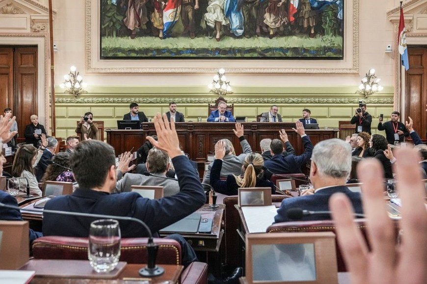 Rodenas dijo que trabajarán para reforzar las garantías constitucionales. Foto Gentileza.