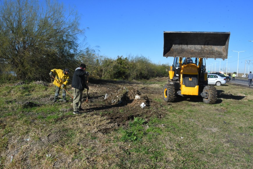Guillermo Di Salvatore