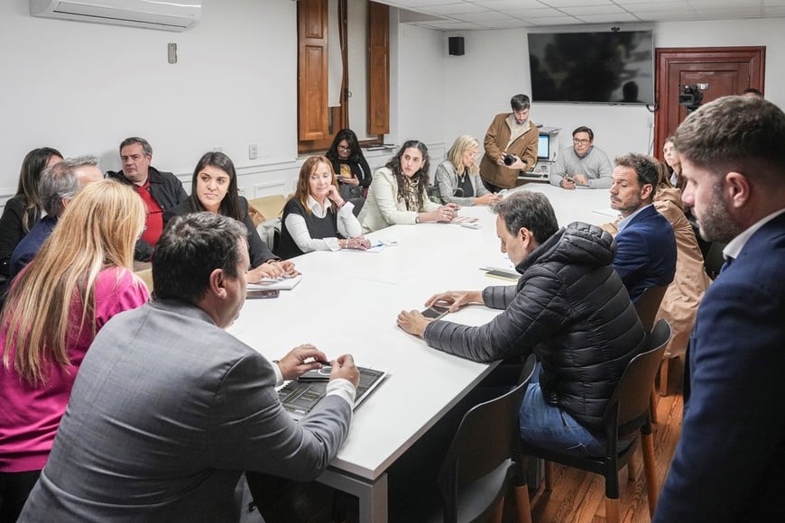 Claudia Levin integra la Comisión de Peticiones, Poderes y Reglamento.