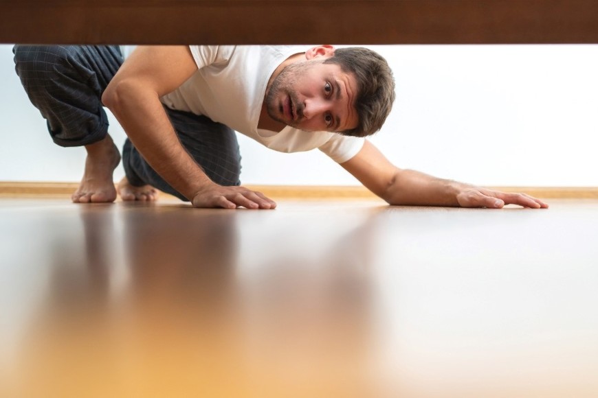 Observar sin intervenir: clave para entender su comportamiento.