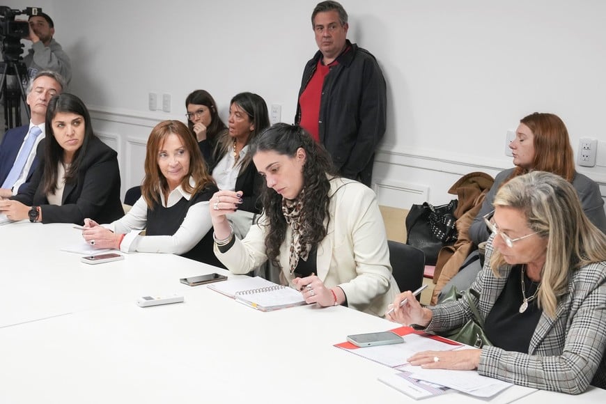 Claudia Levin destacó el rol clave de las comisiones temáticas.