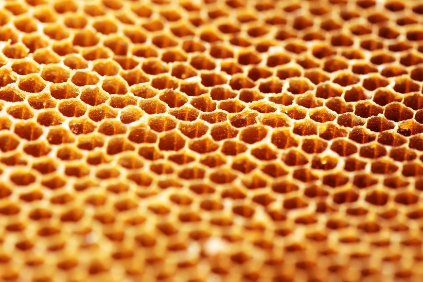El propóleo es un producto natural elaborado por las abejas.