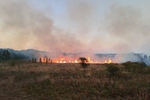 El segundo incendio tuvo lugar el 20 de julio, a las 16:34, detrás del predio de campo La Rural y el Vivero Municipal, en calle Rossi al 3600.