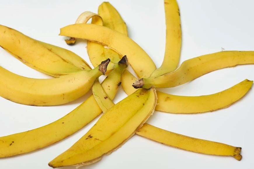 Contiene antioxidantes y elevadas dosis de fibra