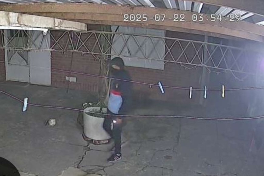 Cámaras y alarmas instaladas para intentar frenar los hechos delictivos.