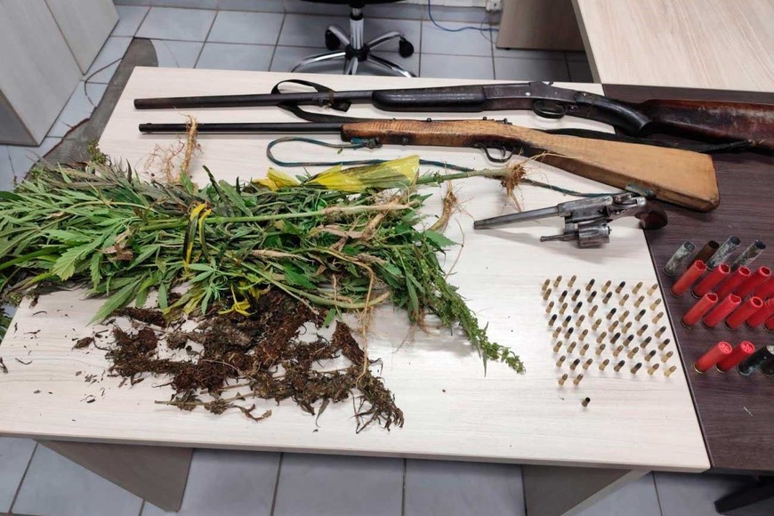Además de la plantación encontraron armas y municiones.