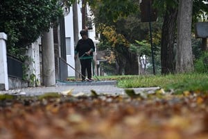 Imagen ilustrativa. Crédito: Flavio Raina