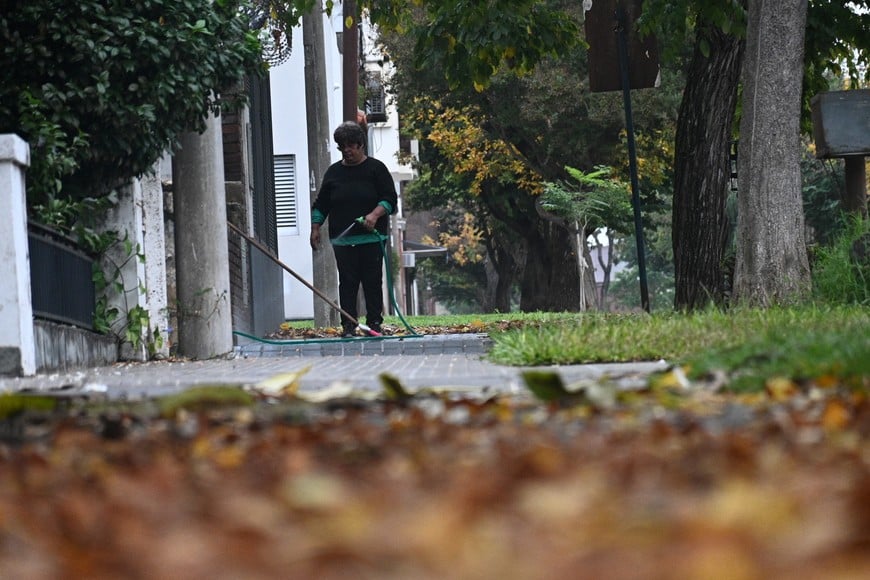 Imagen ilustrativa. Crédito: Flavio Raina