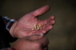 El índice agregado de precios de commodities proyecta una contracción del 7,4% en 2025.