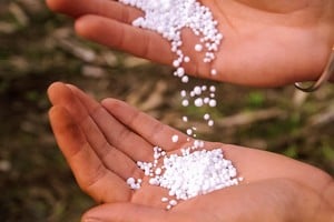 En términos de valor, las importaciones de fertilizantes totalizaron US$ 1.926 millones entre enero y octubre del 2025. 