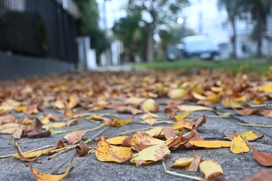 Se mantiene las nulas precipitaciones en Santa Fe. Crédito: Flavio Raina
