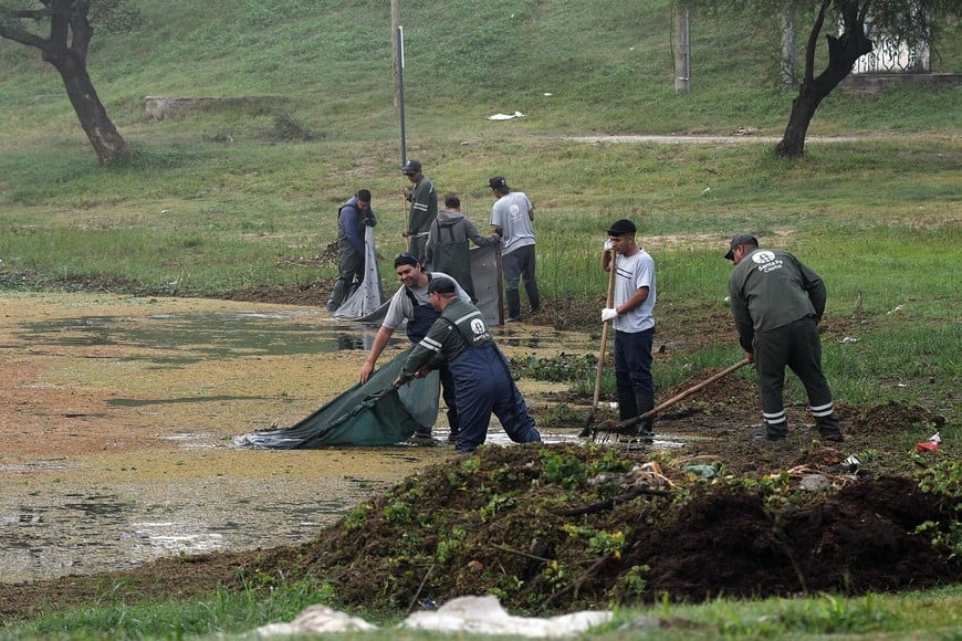 En mayo, cuadrillas municipales retiraron “repollitos” del espejo de agua.