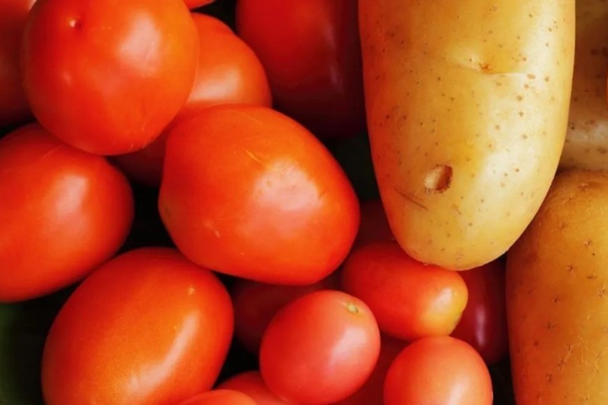 La papa es una “hija” del tomate, nacida hace unos nueve millones de años.