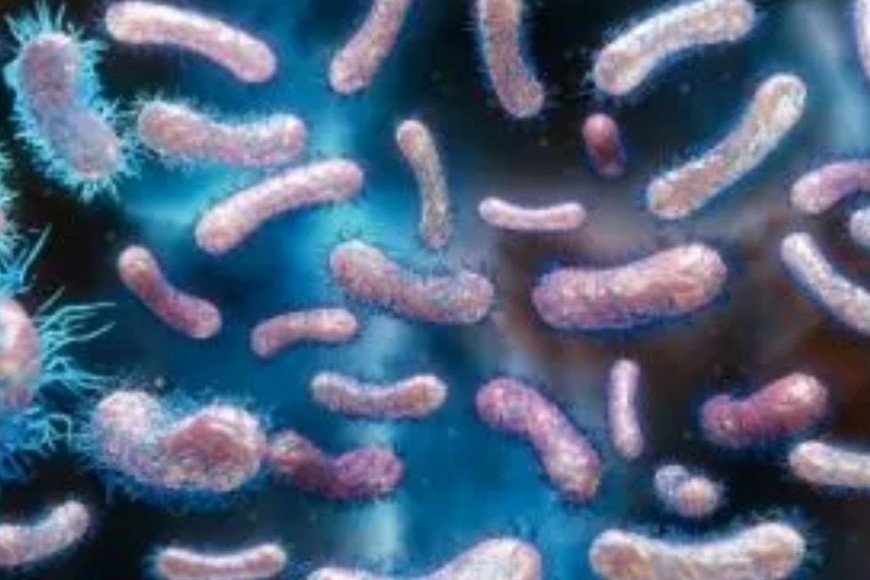 Autoridades advierten sobre los factores de riesgo y ofrecen recomendaciones para prevenir nuevos contagios.