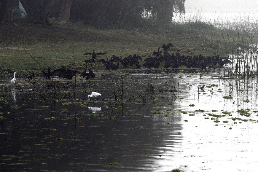 Desde hace mucho tiempo hay críticas por la falta de mantenimiento.