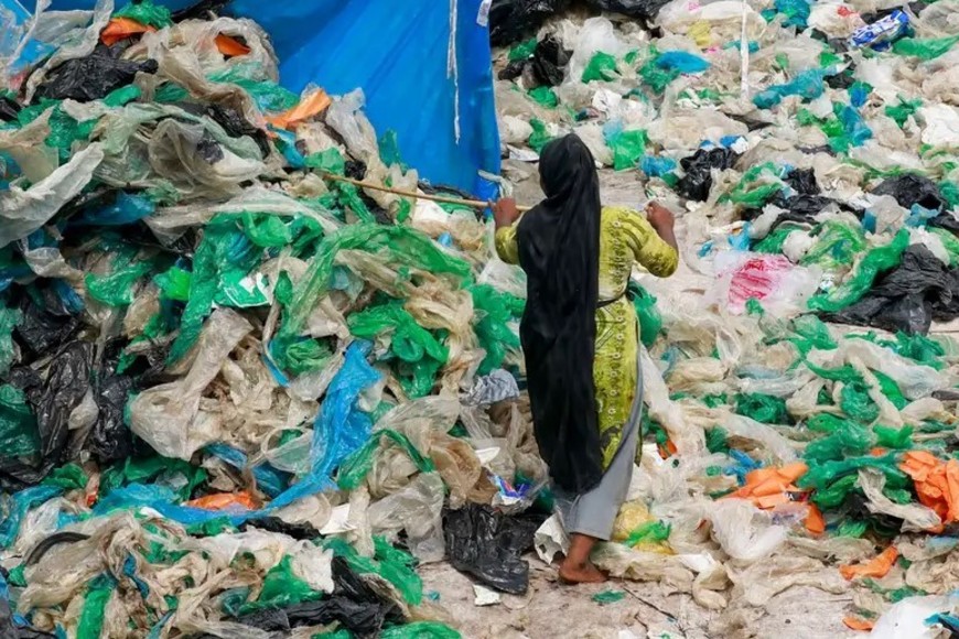 Los residuos plásticos amenazan los ecosistemas.