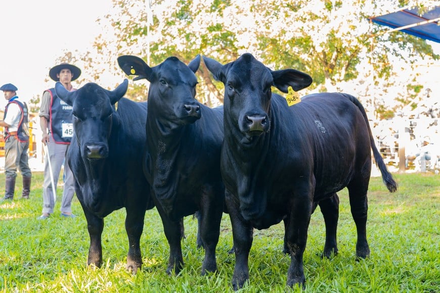 “La rebaja de retenciones es un incentivo directo a la producción”, aseguró Víctor Caballero