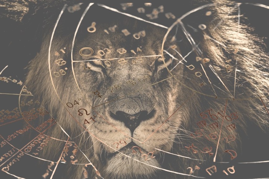 Un portal que conecta corazón, propósito y expansión.