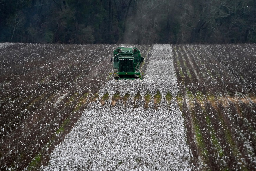 FILE PHOTO: A piece of farm equipment harvests cotton in a field just outside Montgomery, Alabama, U.S., December 14, 2017. REUTERS/Carlo Allegri/File Photo eeuu  guerra comercial entre china y eeuu China anuncia mas aranceles a productos de Estados Unidos soja y autos incluidos cosecha campos cultivos algodon