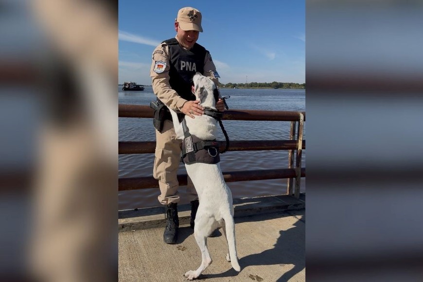 Llegó el momento de descansar para Mía.