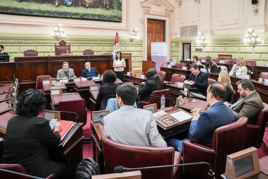 Reforma constitucional: La Comisión de Poder Legislativo y Ejecutivo escuchó aportes ciudadanos en Diputados