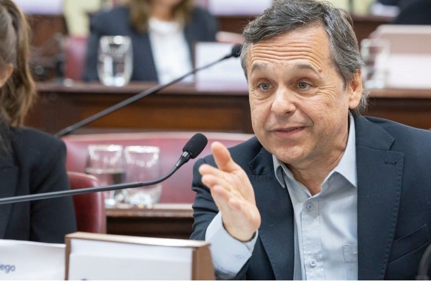 Diputado Nacional Diego Giuliano