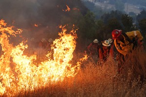 (250808) -- VENTURA, 8 agosto, 2025 (Xinhua) -- Imagen del 7 de agosto de 2025 de bomberos luchando por contener el incendio forestal, en el condado de Ventura, California, Estados Unidos. El incendio forestal, conocido como "Canyon Fire", se desató alrededor de las 13:25 hora local (20:25 GMT) cerca de Piru, una pequeña localidad histórica ubicada en el este del condado de Ventura, a unos 77 kilómetros en el noroeste de Los Angeles. (Xinhua/Qiu Chen) (jg) (da) (vf)