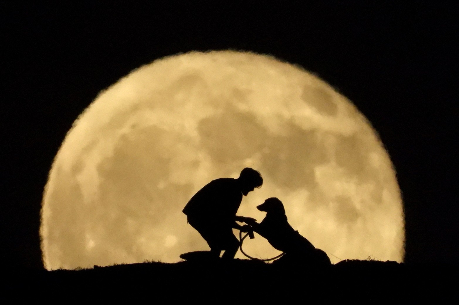 Así se vio en España. 