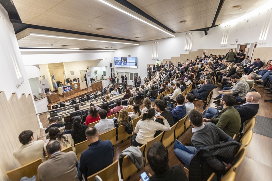 El Concejo rosarino fue sede de una numerosa audiencia.