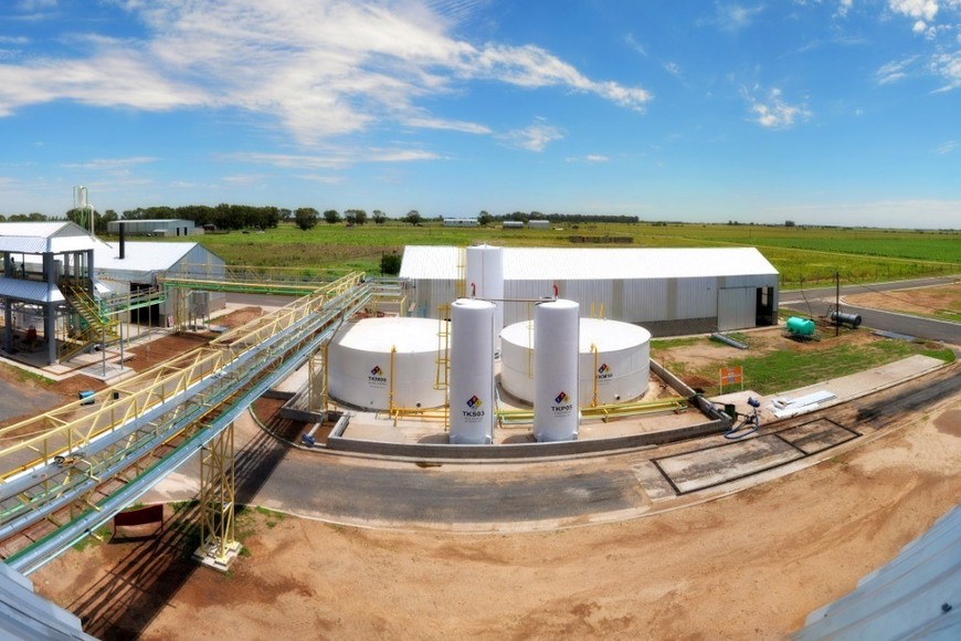 La producción de biodiésel espera por la sanción de una nueva ley.