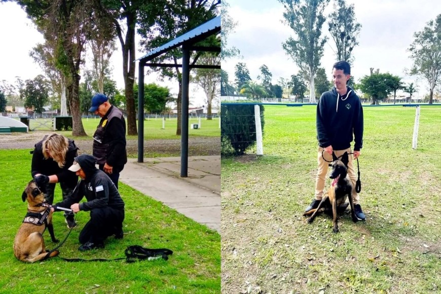 La actividad se llevó adelante en el marco del Día del Veterinario. Foto: Gentileza UCSF