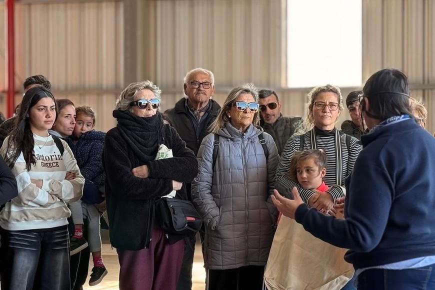 En una tarde de celebración para Venado, los vecinos se acercaron al predio a conocer de cerca el trabajo de La Planta. Foto: MVT