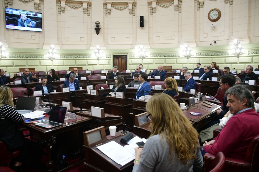 Foto: Manuel Fabatia