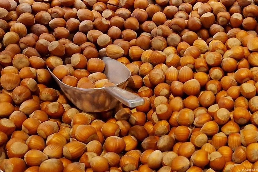 Se prevé que el importe de las avellanas turcas llegue a los 10 dólares por kilo a nivel internacional.