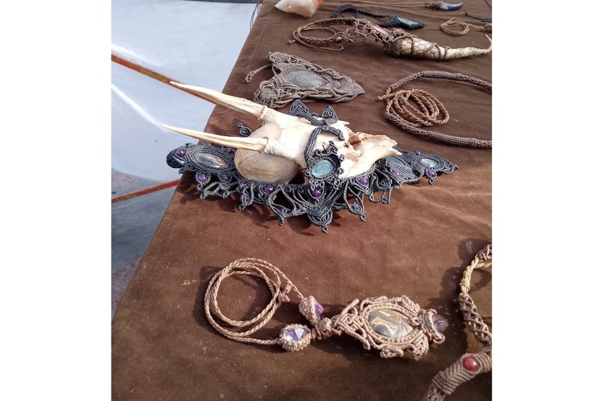 Artesanías provenientes de especies nativas y exóticas.