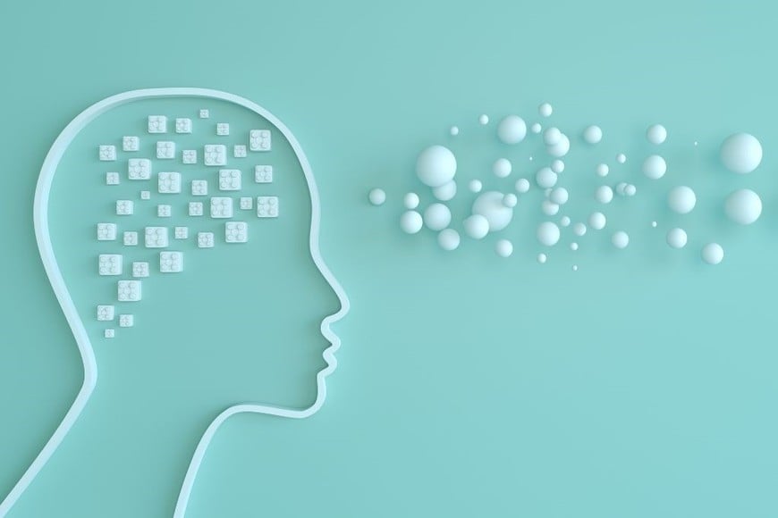 Áreas del cerebro relacionadas con la autoestima.