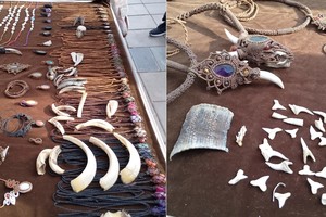 Joyería ilegal hecha con restos de animales protegidos.