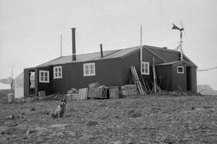 Bell falleció a los 25 años, mientras trabajaba para el FIDS. Archivo