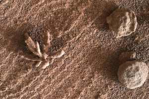 Los científicos creen que la figura se formó cuando Marte tenía agua líquida en su superficie.